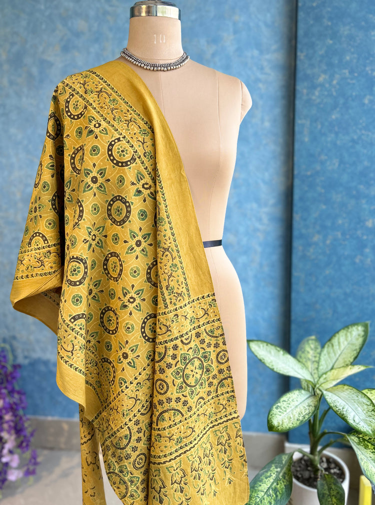 Ajrakh Block Printed Mul Stole