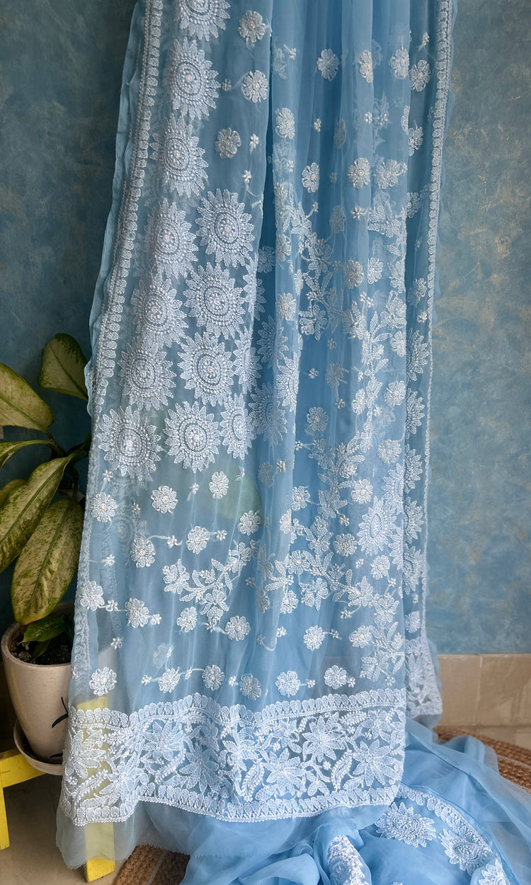 Powder Blue Chikankari Saree