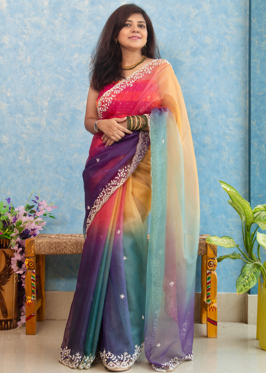 Multi Shades Hand Embroidery on Organza Sari