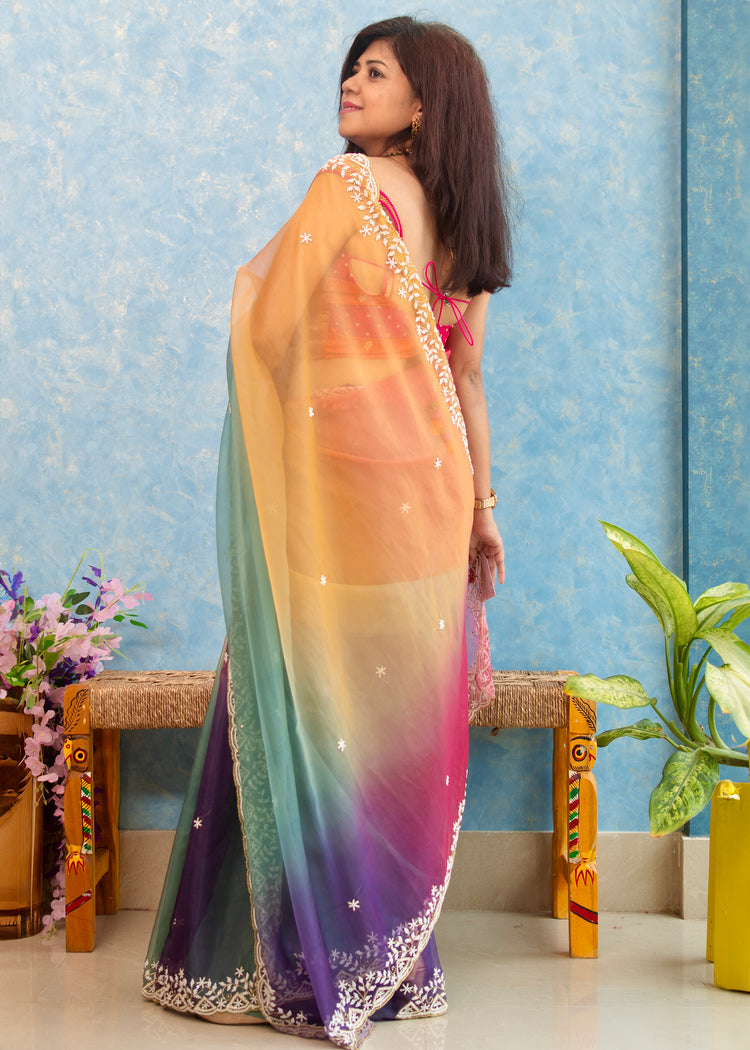 Multi Shades Hand Embroidery on Organza Sari