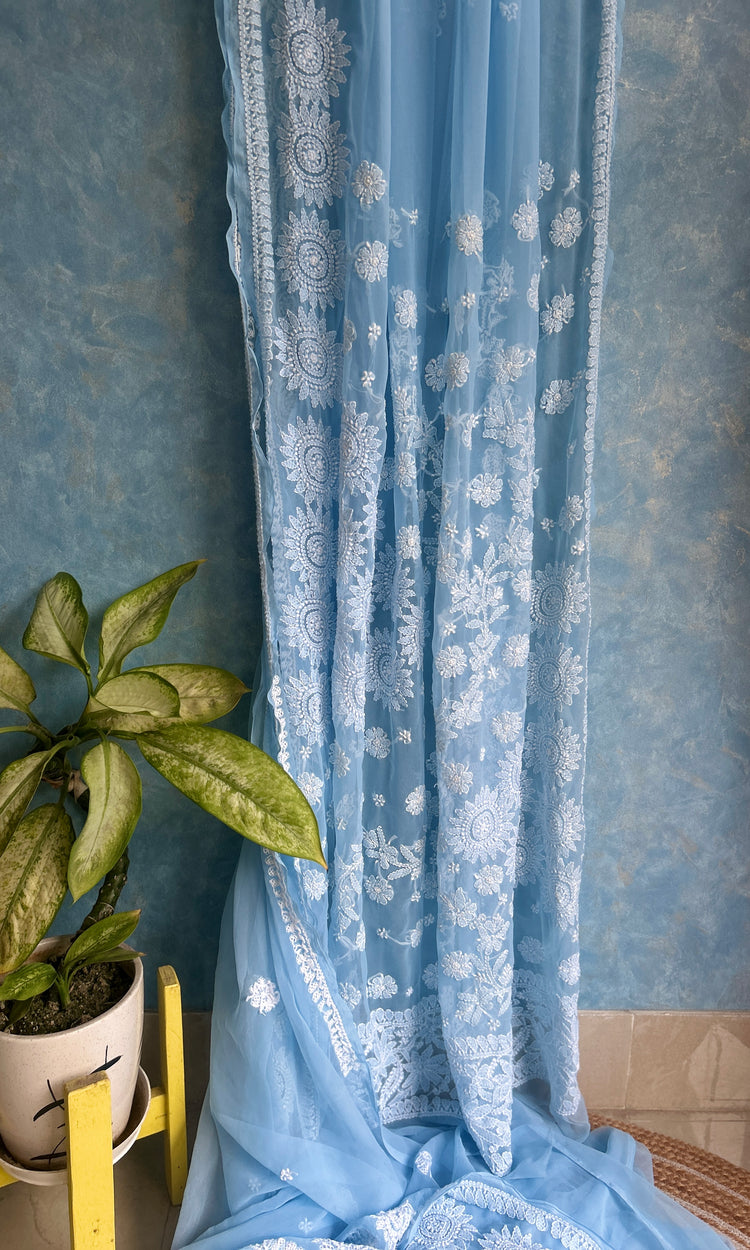 Powder Blue Chikankari Saree