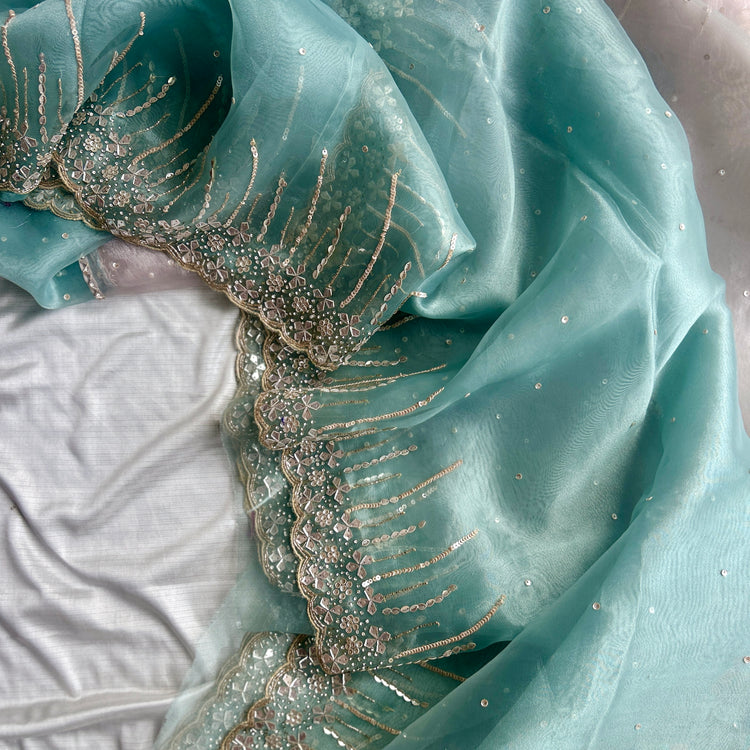 Aqua and Perl Colour Hand Embroidery on Organza Sari