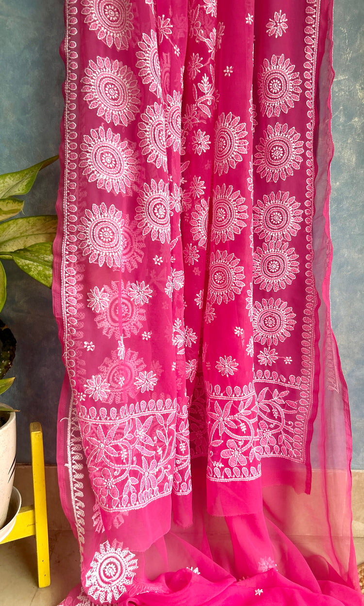 Blush Pink Chikankari Saree