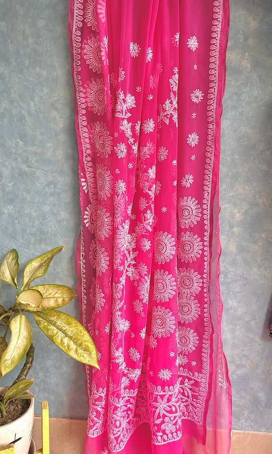 Blush Pink Chikankari Saree