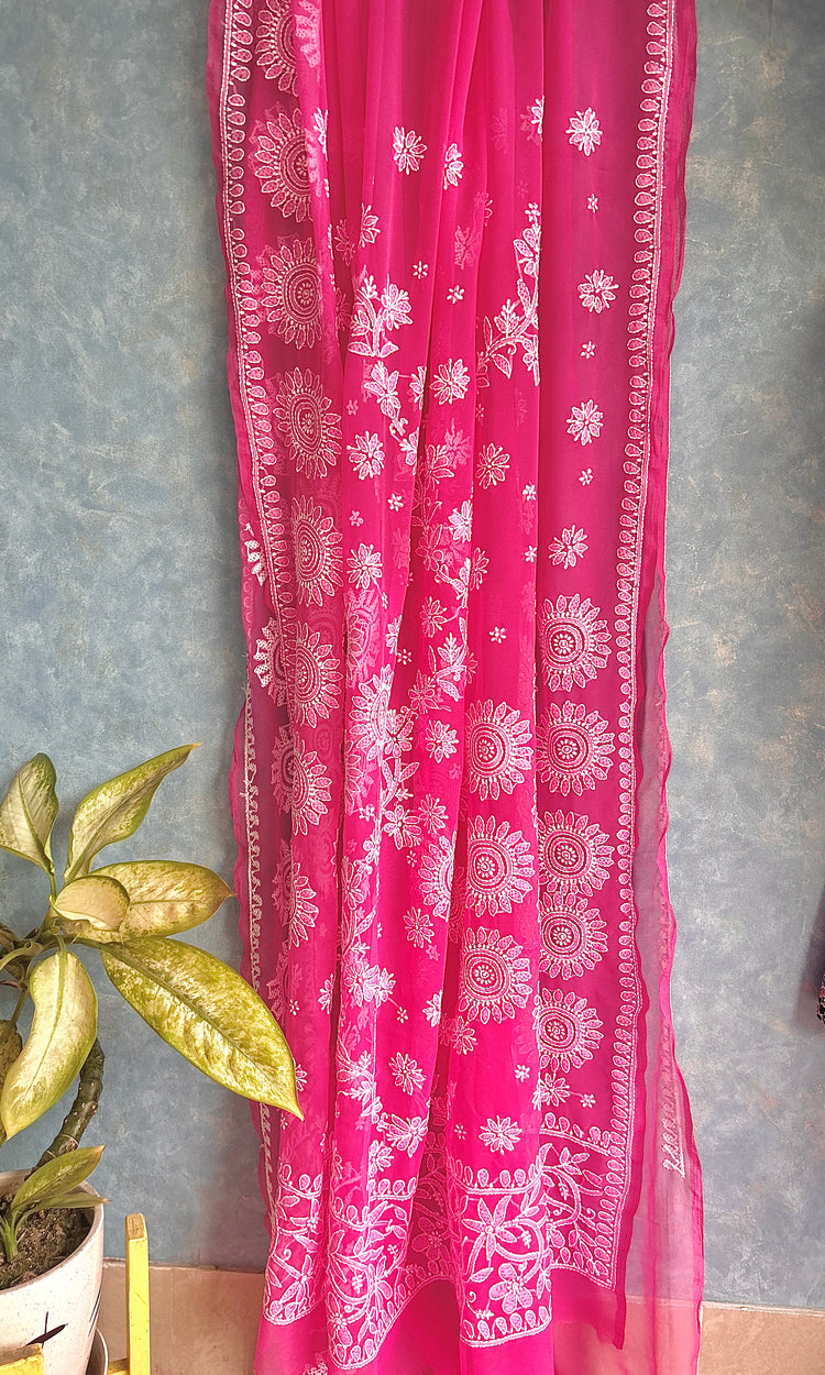 Blush Pink Chikankari Saree