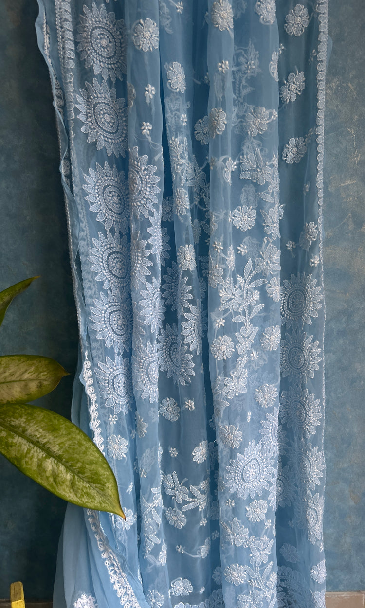 Powder Blue Chikankari Saree