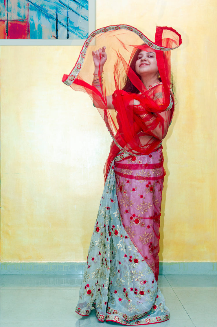 Half and half embroidery organza and net sari