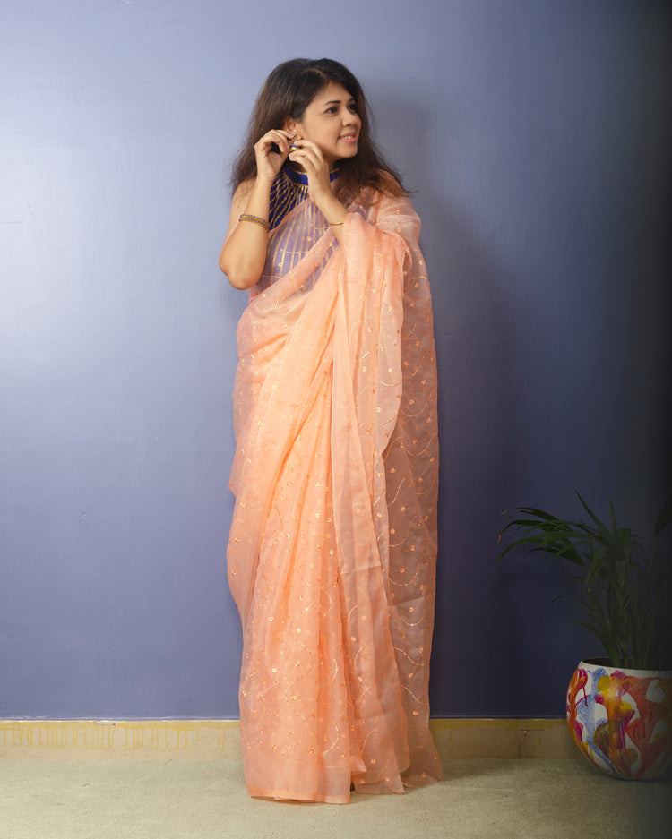 Creamery Embroidred Organza Saree
