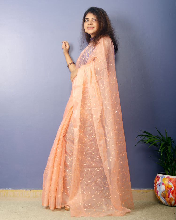 Creamery Embroidred Organza Saree