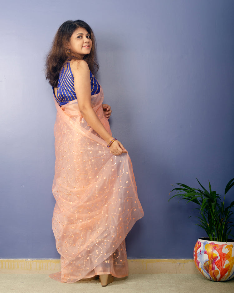 Creamery Embroidred Organza Saree