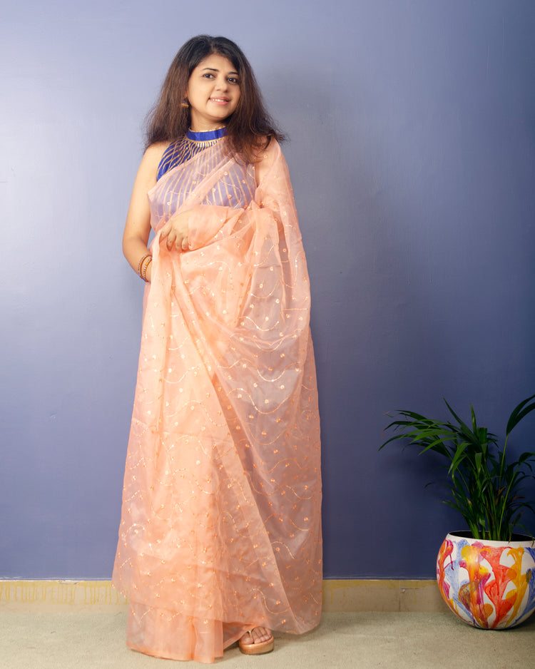 Creamery Embroidred Organza Saree