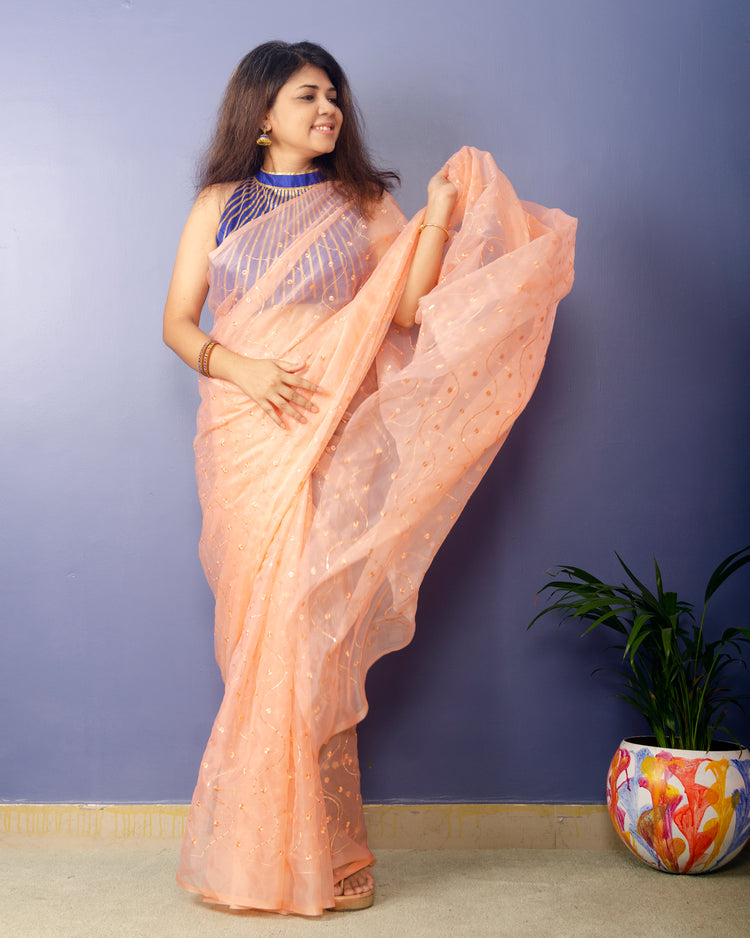 Creamery Embroidred Organza Saree