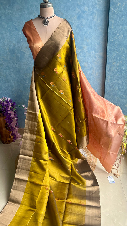 Green Tea Kanchi Silk Sari