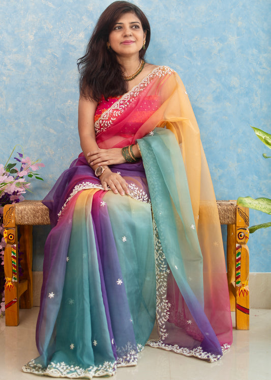 Multi Shades Hand Embroidery on Organza Sari