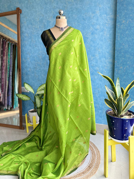 Handwoven Parakeet with Black Cotton Silk Sari