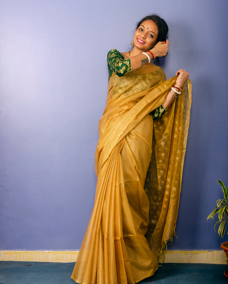 Chikoo Colour Plain Sari with Resham Pallu