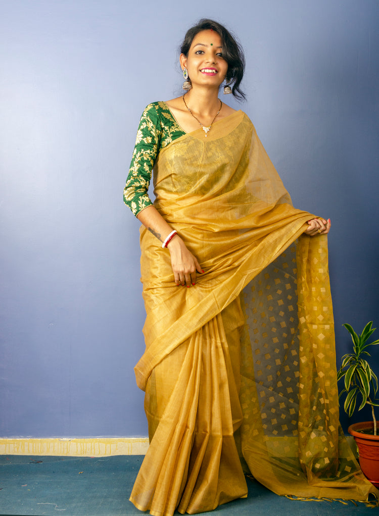 Chikoo Colour Plain Sari with Resham Pallu