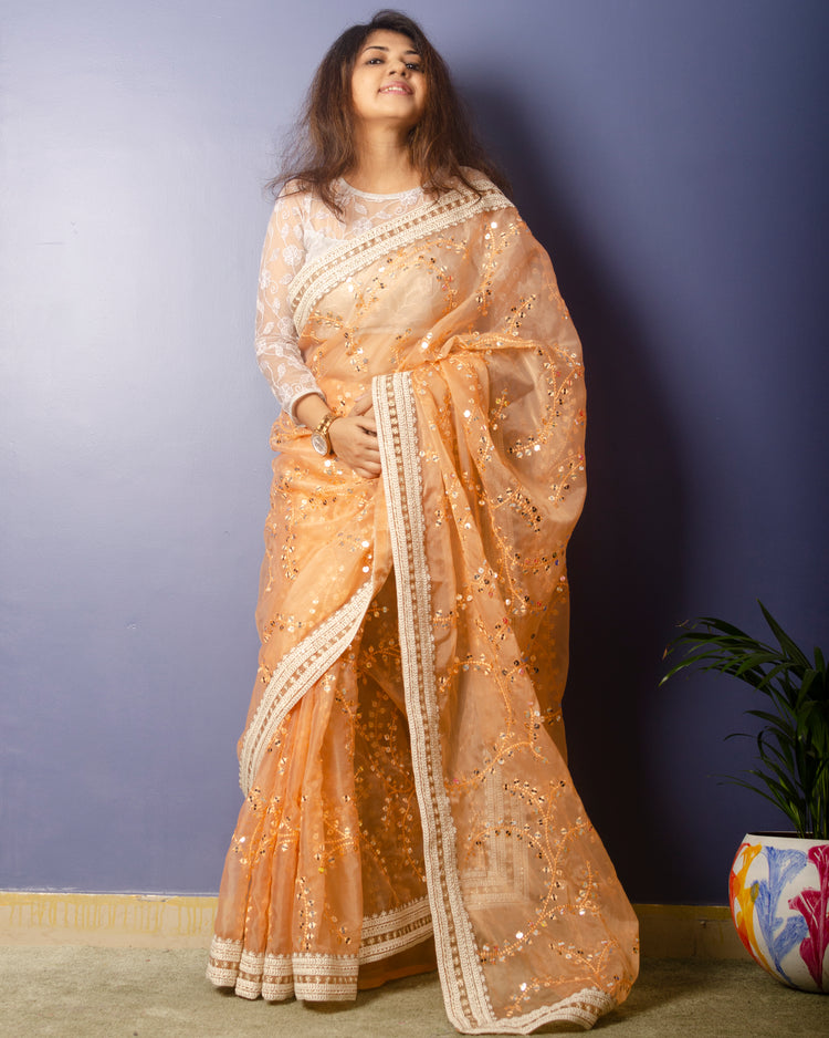 Peach Puff Embroidrery Organza Saree