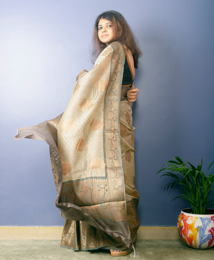 Off-white Handwoven Pure Tussar Silk With Digital Print and Antique Banarasi Border