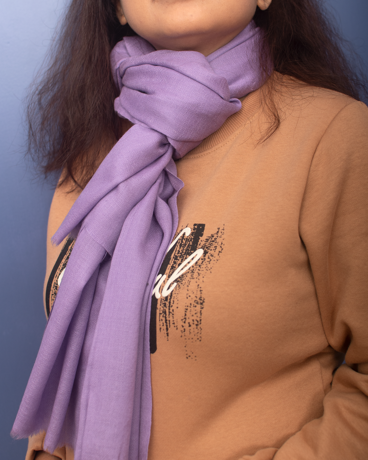 Solid Periwinkle Color Pure Pashmina Stole — view 3